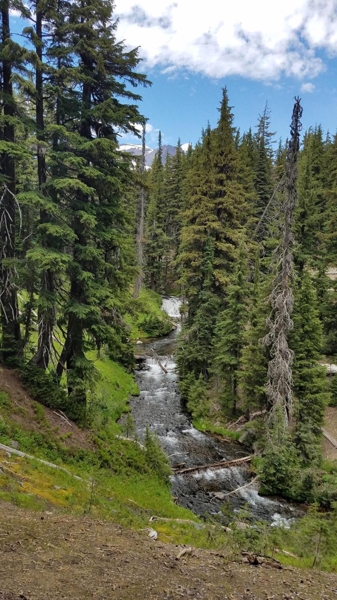 Mt. Bachelor & Sun River Get Away Bend Zewnętrze zdjęcie